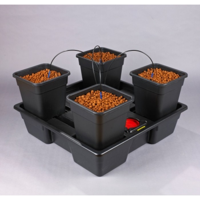 Wilma XL 4 pot - 25L (Collection Only)